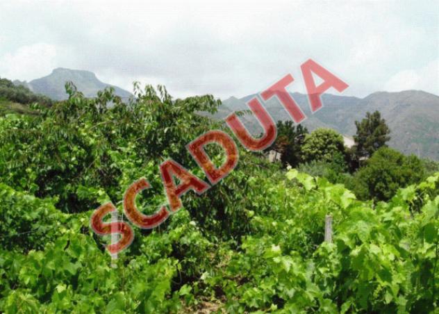 terreno agricolo in vendita ad Itala