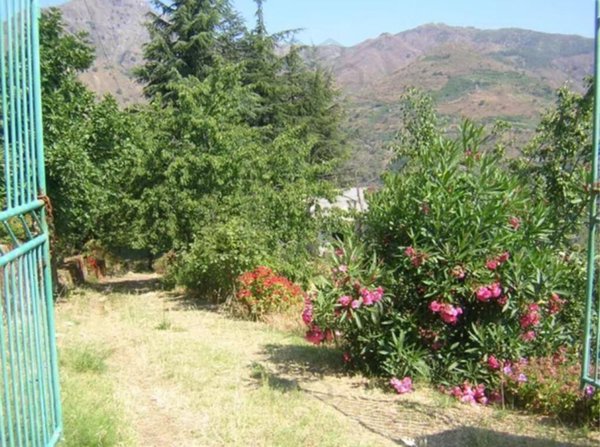 casa indipendente in vendita ad Itala