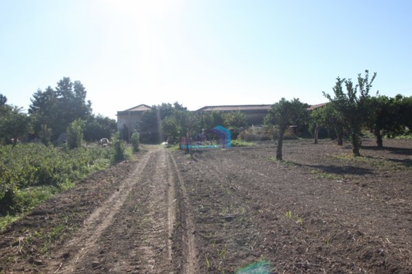 casa indipendente in vendita a Letojanni