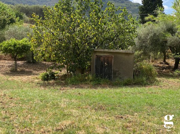 terreno agricolo in vendita a Librizzi