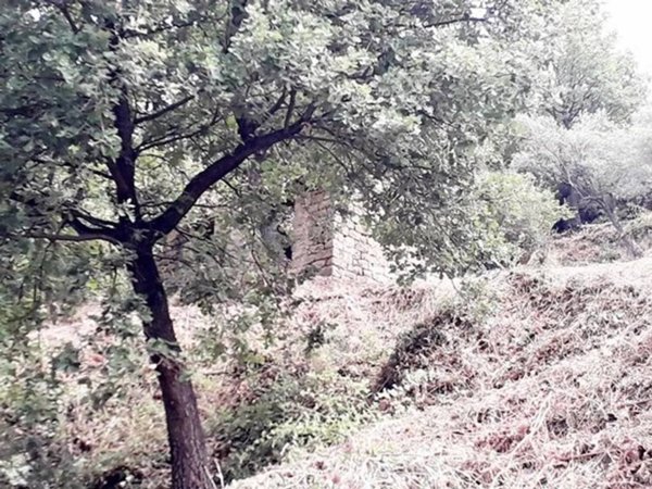 terreno agricolo in vendita a Librizzi