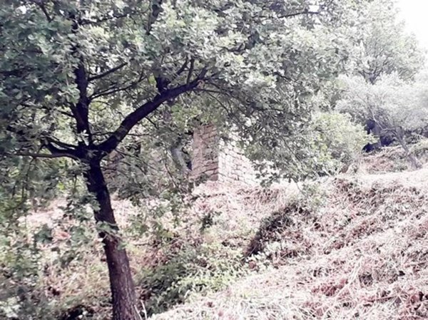 terreno agricolo in vendita a Librizzi