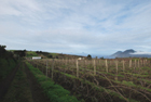 terreno agricolo in vendita a Lipari