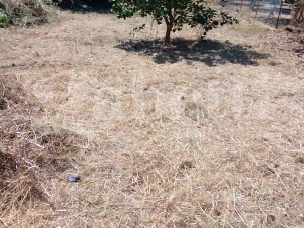 terreno agricolo in vendita a Lipari