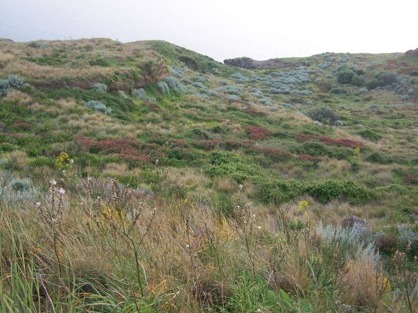 terreno agricolo in vendita a Lipari