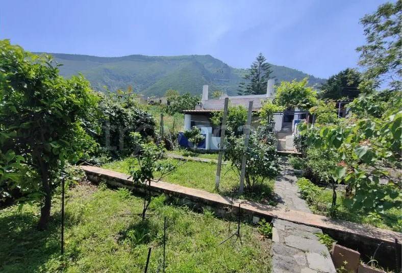casa indipendente in vendita a Malfa
