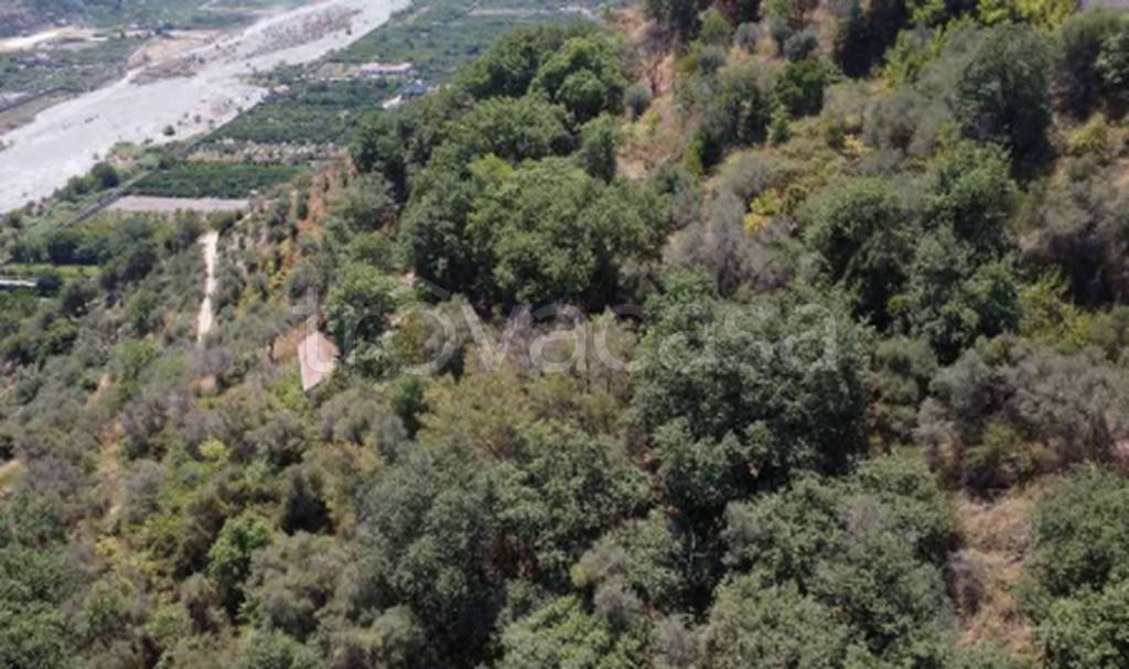 terreno agricolo in vendita a Merì