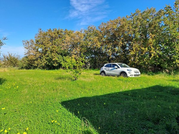 casa indipendente in vendita a Merì