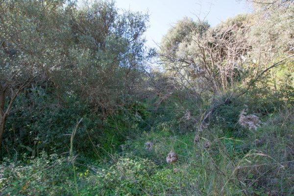 rudere in vendita a Messina in zona Santa Margherita