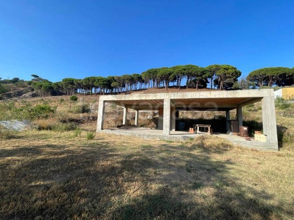 terreno agricolo in vendita a Messina in zona Santa Margherita