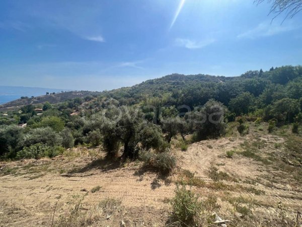 terreno agricolo in vendita a Messina in zona Larderia