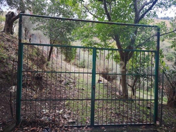 terreno agricolo in vendita a Messina in zona Camaro
