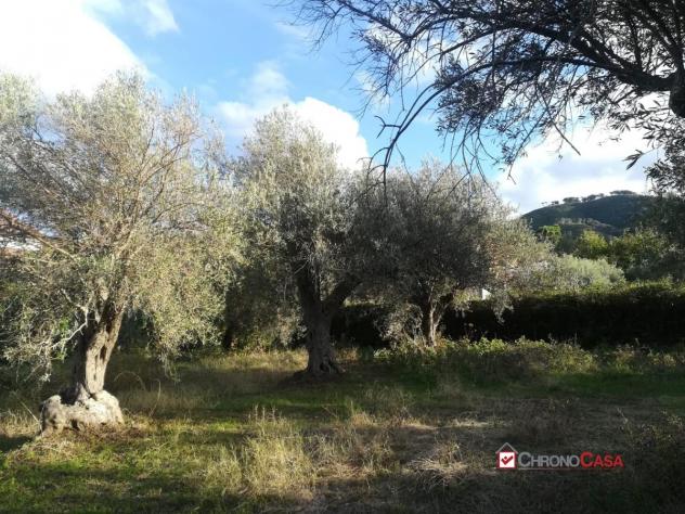 casa indipendente in vendita a Messina in zona Spartà