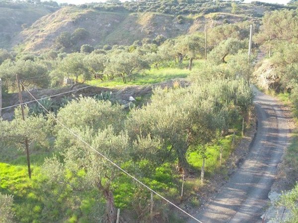 terreno agricolo in vendita a Messina in zona Galati / Mili San Marco