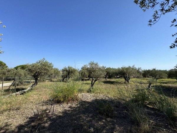 terreno agricolo in vendita a Messina in zona Spartà