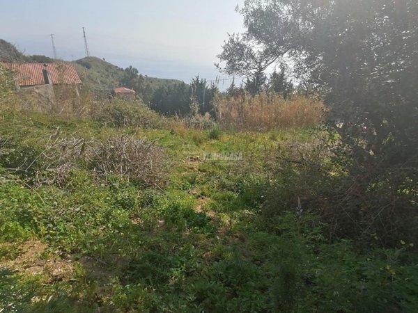 terreno agricolo in vendita a Messina in zona Santissima Annunziata