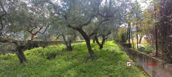 terreno agricolo in vendita a Messina in zona Spartà