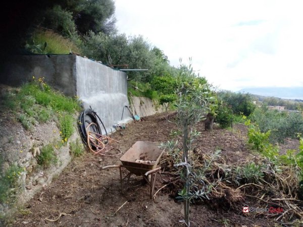 appartamento in vendita a Messina in zona Zafferìa