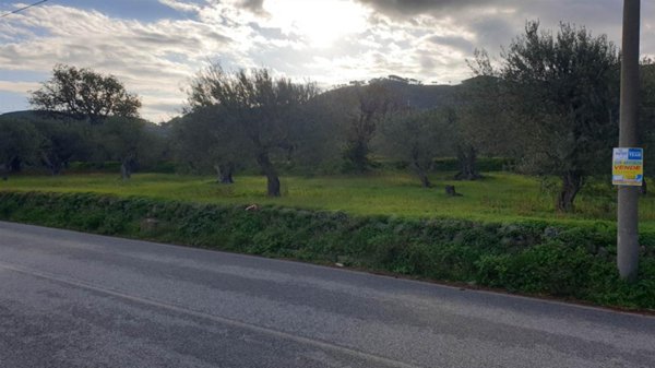 terreno agricolo in vendita a Messina in zona Spartà