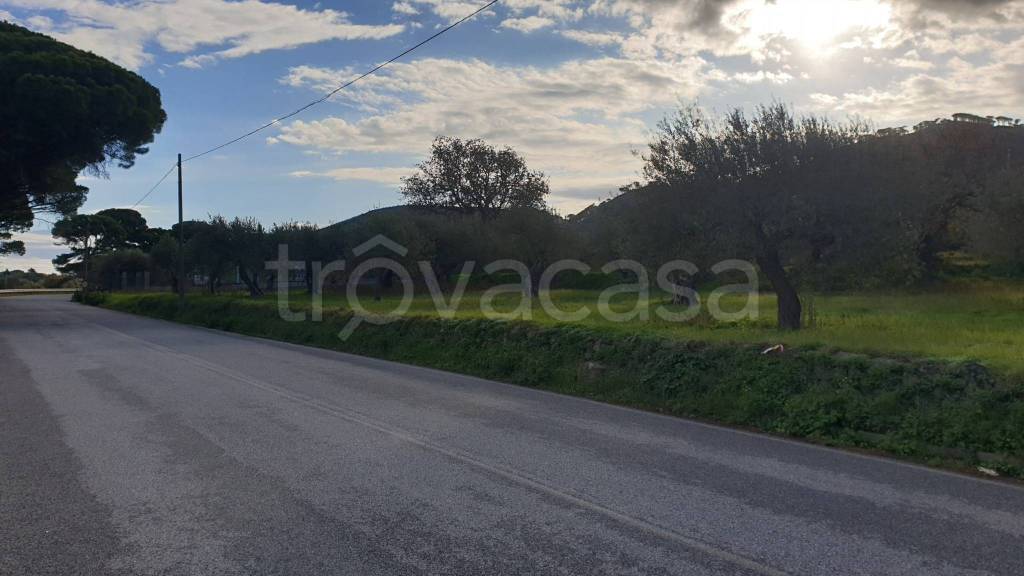 terreno agricolo in vendita a Messina in zona Spartà