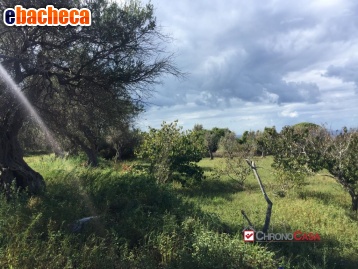 appartamento in vendita a Messina in zona Centro Storico