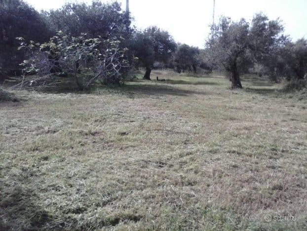 terreno agricolo in vendita a Messina in zona Spartà