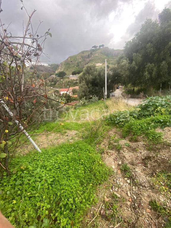terreno agricolo in vendita a Messina in zona Gravitelli