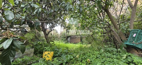 terreno agricolo in vendita a Messina in zona Salice