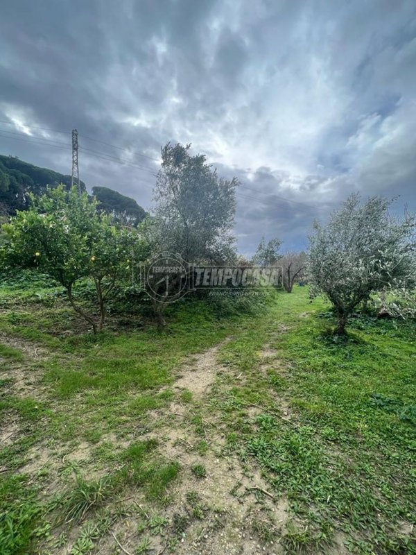 appartamento in vendita a Messina
