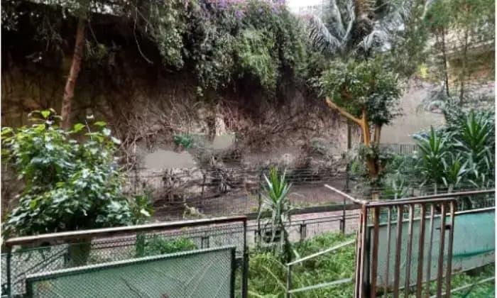 appartamento in vendita a Messina in zona Paradiso