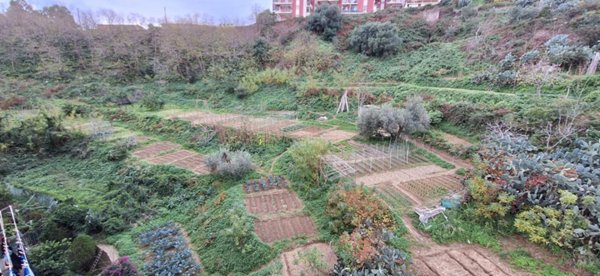 terreno agricolo in vendita a Messina in zona San Licandro