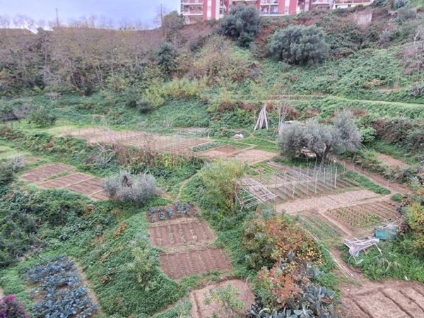 terreno agricolo in vendita a Messina in zona San Licandro