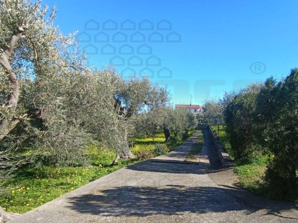 casa indipendente in vendita a Messina in zona Spartà