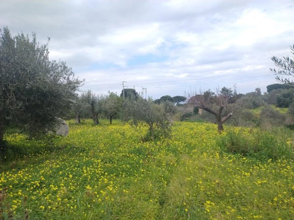 terreno agricolo in vendita a Messina in zona Spartà