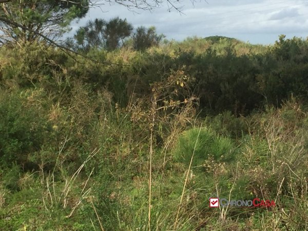 terreno agricolo in vendita a Messina in zona Centro Storico