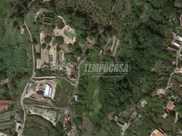 terreno agricolo in vendita a Messina in zona Gesso