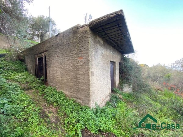 terreno agricolo in vendita a Messina in zona Rodia
