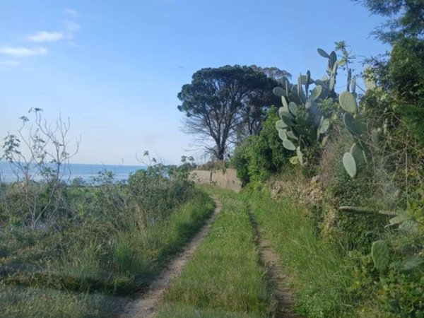 terreno agricolo in vendita a Messina in zona Centro Storico