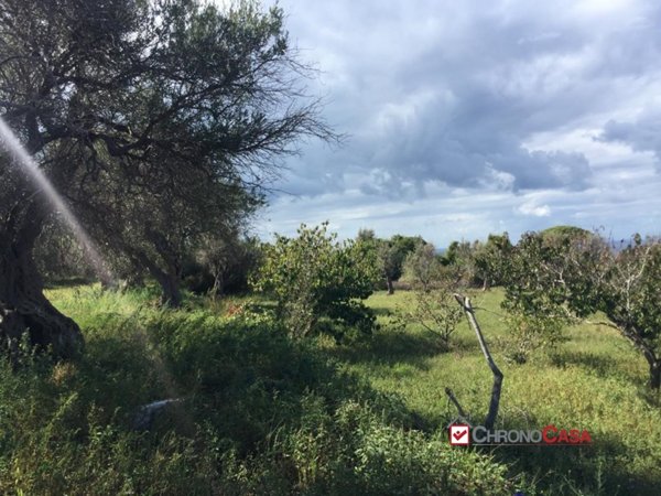 appartamento in vendita a Messina in zona Rodia