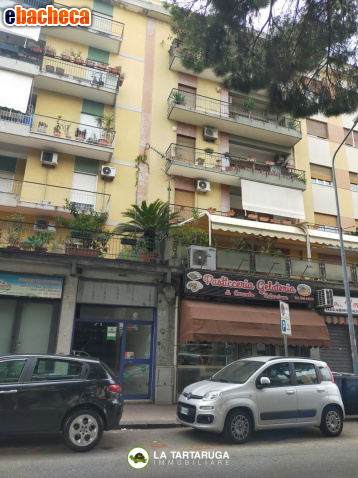 negozio in vendita a Messina