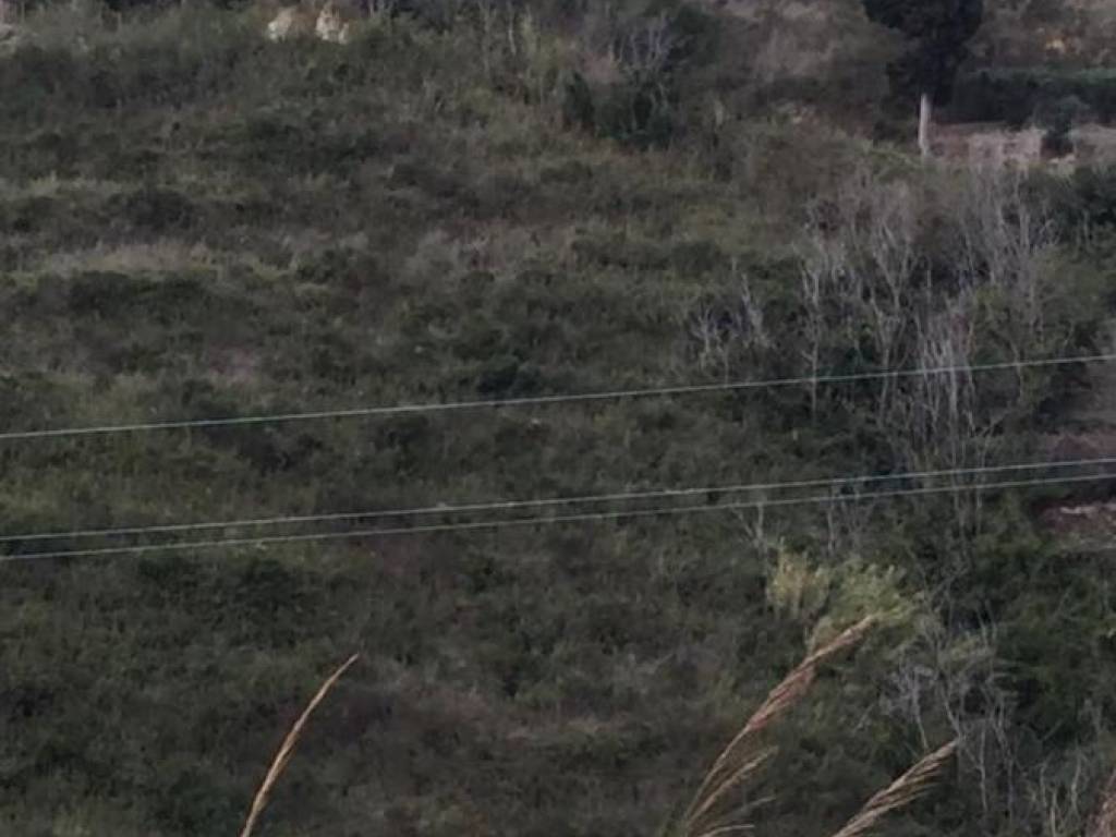 terreno agricolo in vendita a Messina in zona Spartà