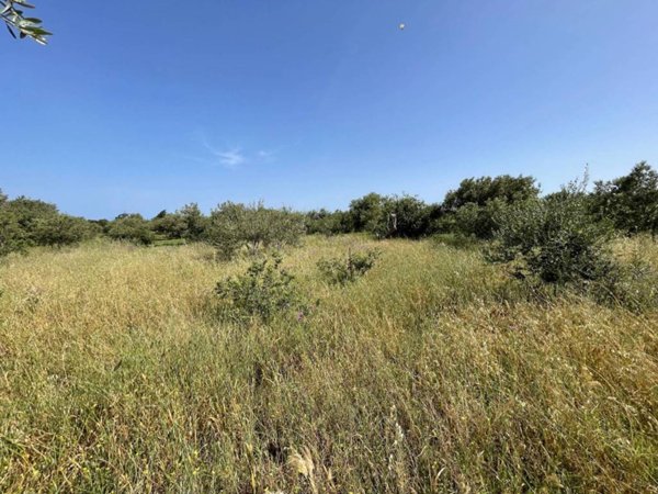terreno agricolo in vendita a Messina in zona Spartà
