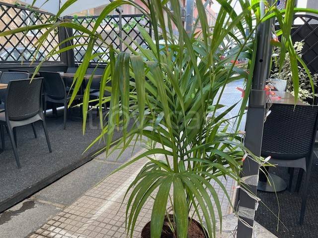 negozio in vendita a Messina in zona Centro Storico