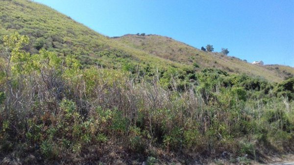 terreno agricolo in vendita a Messina in zona Mortelle