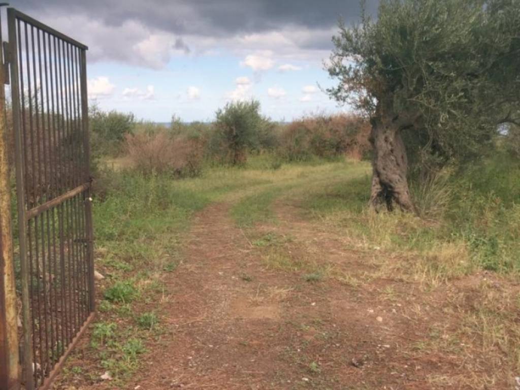 terreno agricolo in vendita a Messina in zona Spartà