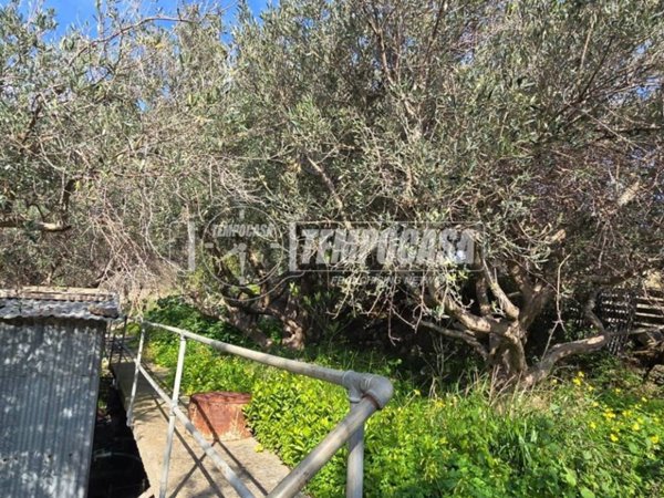 terreno agricolo in vendita a Messina in zona San Saba