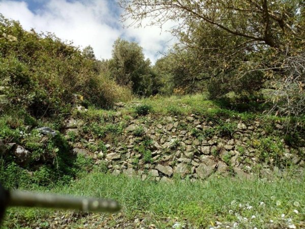 terreno agricolo in vendita a Messina in zona Santa Margherita