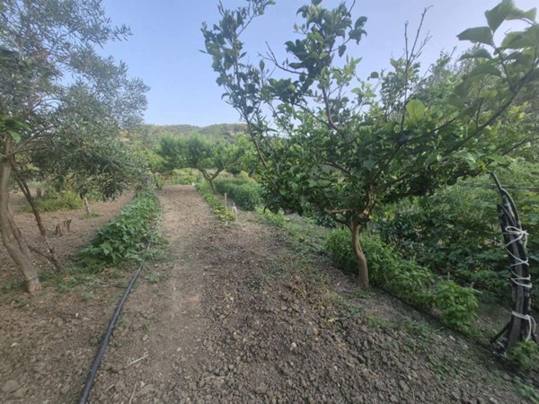 terreno agricolo in vendita a Messina in zona San Filippo