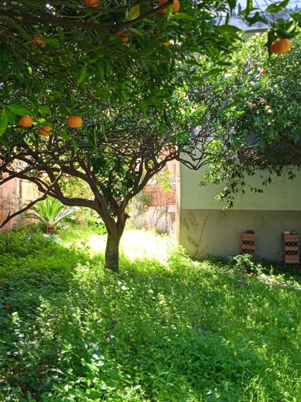 casa indipendente in vendita a Messina in zona Mortelle