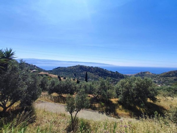 terreno agricolo in vendita a Messina in zona Santa Margherita